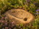 Eine Sandlinse im Garten anlegen: Lebensraum für sandliebende Wildbienen schaffen