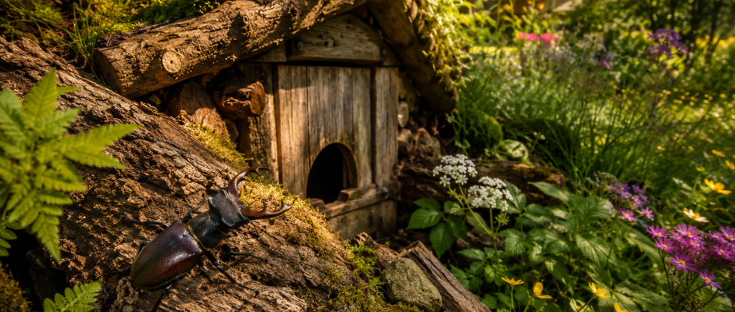 Einen Käferkeller im Garten bauen: Unterschlupf für Hirschkäfer und Co.