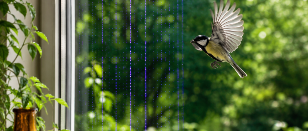 Vogelschlag an Fenstern verhindern: Schablonen und UV-Stifte im ökologischen Test